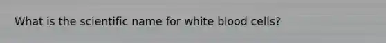 What is the scientific name for white blood cells?