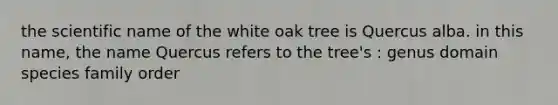 the scientific name of the white oak tree is Quercus alba. in this name, the name Quercus refers to the tree's : genus domain species family order