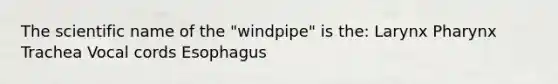 The scientific name of the "windpipe" is the: Larynx Pharynx Trachea Vocal cords Esophagus