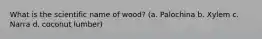 What is the scientific name of wood? (a. Palochina b. Xylem c. Narra d. coconut lumber)