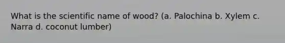 What is the scientific name of wood? (a. Palochina b. Xylem c. Narra d. coconut lumber)