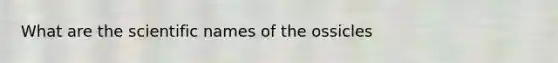 What are the scientific names of the ossicles