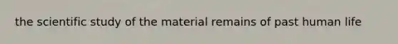 the scientific study of the material remains of past human life