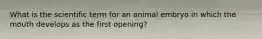 What is the scientific term for an animal embryo in which the mouth develops as the first opening?