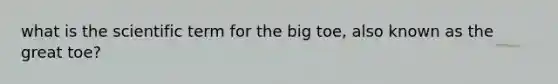 what is the scientific term for the big toe, also known as the great toe?