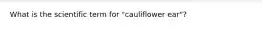 What is the scientific term for "cauliflower ear"?