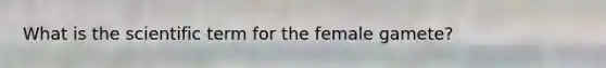 What is the scientific term for the female gamete?