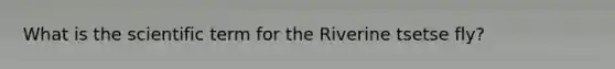 What is the scientific term for the Riverine tsetse fly?