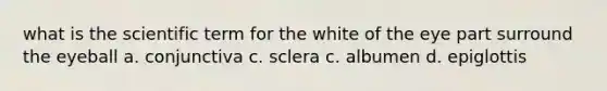 what is the scientific term for the white of the eye part surround the eyeball a. conjunctiva c. sclera c. albumen d. epiglottis