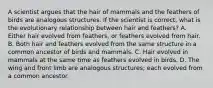 A scientist argues that the hair of mammals and the feathers of birds are analogous structures. If the scientist is correct, what is the evolutionary relationship between hair and feathers? A. Either hair evolved from feathers, or feathers evolved from hair. B. Both hair and feathers evolved from the same structure in a common ancestor of birds and mammals. C. Hair evolved in mammals at the same time as feathers evolved in birds. D. The wing and front limb are analogous structures; each evolved from a common ancestor.