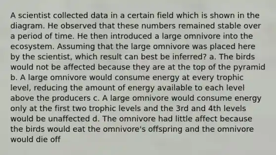 A scientist collected data in a certain field which is shown in the diagram. He observed that these numbers remained stable over a period of time. He then introduced a large omnivore into the ecosystem. Assuming that the large omnivore was placed here by the scientist, which result can best be inferred? a. The birds would not be affected because they are at the top of the pyramid b. A large omnivore would consume energy at every trophic level, reducing the amount of energy available to each level above the producers c. A large omnivore would consume energy only at the first two trophic levels and the 3rd and 4th levels would be unaffected d. The omnivore had little affect because the birds would eat the omnivore's offspring and the omnivore would die off