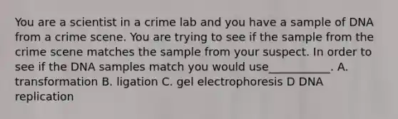 You are a scientist in a crime lab and you have a sample of DNA from a crime scene. You are trying to see if the sample from the crime scene matches the sample from your suspect. In order to see if the DNA samples match you would use___________. A. transformation B. ligation C. gel electrophoresis D <a href='https://www.questionai.com/knowledge/kofV2VQU2J-dna-replication' class='anchor-knowledge'>dna replication</a>