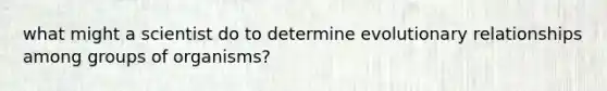 what might a scientist do to determine evolutionary relationships among groups of organisms?