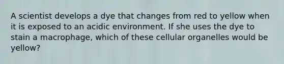 A scientist develops a dye that changes from red to yellow when it is exposed to an acidic environment. If she uses the dye to stain a macrophage, which of these cellular organelles would be yellow?