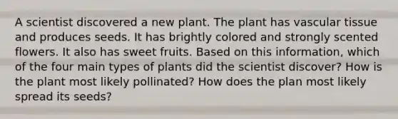 A scientist discovered a new plant. The plant has vascular tissue and produces seeds. It has brightly colored and strongly scented flowers. It also has sweet fruits. Based on this information, which of the four main types of plants did the scientist discover? How is the plant most likely pollinated? How does the plan most likely spread its seeds?