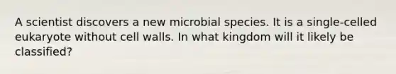 A scientist discovers a new microbial species. It is a single-celled eukaryote without cell walls. In what kingdom will it likely be classified?