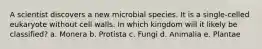 A scientist discovers a new microbial species. It is a single-celled eukaryote without cell walls. In which kingdom will it likely be classified? a. Monera b. Protista c. Fungi d. Animalia e. Plantae