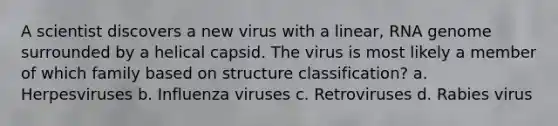 A scientist discovers a new virus with a linear, RNA genome surrounded by a helical capsid. The virus is most likely a member of which family based on structure classification? a. Herpesviruses b. Influenza viruses c. Retroviruses d. Rabies virus