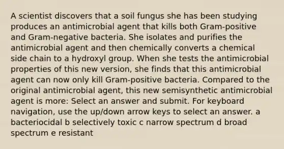 A scientist discovers that a soil fungus she has been studying produces an antimicrobial agent that kills both Gram-positive and Gram-negative bacteria. She isolates and purifies the antimicrobial agent and then chemically converts a chemical side chain to a hydroxyl group. When she tests the antimicrobial properties of this new version, she finds that this antimicrobial agent can now only kill Gram-positive bacteria. Compared to the original antimicrobial agent, this new semisynthetic antimicrobial agent is more: Select an answer and submit. For keyboard navigation, use the up/down arrow keys to select an answer. a bacteriocidal b selectively toxic c narrow spectrum d broad spectrum e resistant