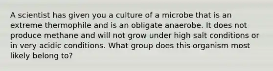 A scientist has given you a culture of a microbe that is an extreme thermophile and is an obligate anaerobe. It does not produce methane and will not grow under high salt conditions or in very acidic conditions. What group does this organism most likely belong to?