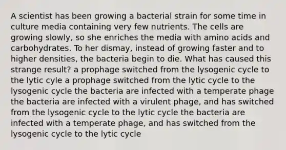 A scientist has been growing a bacterial strain for some time in culture media containing very few nutrients. The cells are growing slowly, so she enriches the media with amino acids and carbohydrates. To her dismay, instead of growing faster and to higher densities, the bacteria begin to die. What has caused this strange result? a prophage switched from the lysogenic cycle to the lytic cyle a prophage switched from the lytic cycle to the lysogenic cycle the bacteria are infected with a temperate phage the bacteria are infected with a virulent phage, and has switched from the lysogenic cycle to the lytic cycle the bacteria are infected with a temperate phage, and has switched from the lysogenic cycle to the lytic cycle