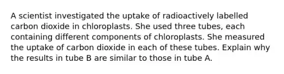 A scientist investigated the uptake of radioactively labelled carbon dioxide in chloroplasts. She used three tubes, each containing different components of chloroplasts. She measured the uptake of carbon dioxide in each of these tubes. Explain why the results in tube B are similar to those in tube A.