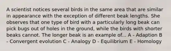 A scientist notices several birds in the same area that are similar in appearance with the exception of different beak lengths. She observes that one type of bird with a particularly long beak can pick bugs out of holes in the ground, while the birds with shorter beaks cannot. The longer beak is an example of... A - Adaption B - Convergent evolution C - Analogy D - Equilibrium E - Homology