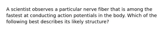 A scientist observes a particular nerve fiber that is among the fastest at conducting action potentials in the body. Which of the following best describes its likely structure?