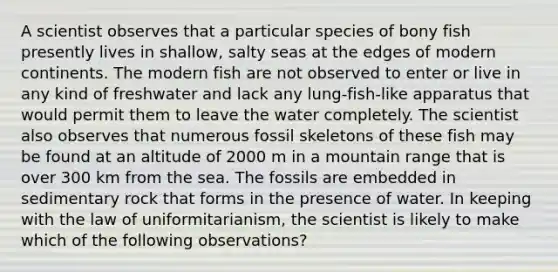 A scientist observes that a particular species of bony fish presently lives in shallow, salty seas at the edges of modern continents. The modern fish are not observed to enter or live in any kind of freshwater and lack any lung-fish-like apparatus that would permit them to leave the water completely. The scientist also observes that numerous fossil skeletons of these fish may be found at an altitude of 2000 m in a mountain range that is over 300 km from the sea. The fossils are embedded in sedimentary rock that forms in the presence of water. In keeping with the law of uniformitarianism, the scientist is likely to make which of the following observations?