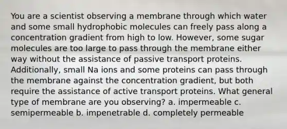 You are a scientist observing a membrane through which water and some small hydrophobic molecules can freely pass along a concentration gradient from high to low. However, some sugar molecules are too large to pass through the membrane either way without the assistance of passive transport proteins. Additionally, small Na ions and some proteins can pass through the membrane against the concentration gradient, but both require the assistance of active transport proteins. What general type of membrane are you observing? a. impermeable c. semipermeable b. impenetrable d. completely permeable