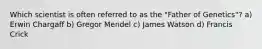 Which scientist is often referred to as the "Father of Genetics"? a) Erwin Chargaff b) Gregor Mendel c) James Watson d) Francis Crick