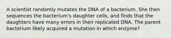 A scientist randomly mutates the DNA of a bacterium. She then sequences the bacterium's daughter cells, and finds that the daughters have many errors in their replicated DNA. The parent bacterium likely acquired a mutation in which enzyme?