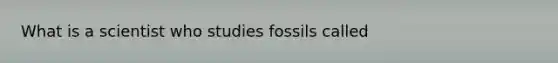 What is a scientist who studies fossils called