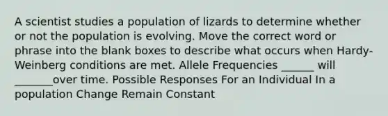 A scientist studies a population of lizards to determine whether or not the population is evolving. Move the correct word or phrase into the blank boxes to describe what occurs when Hardy-Weinberg conditions are met. Allele Frequencies ______ will _______over time. Possible Responses For an Individual In a population Change Remain Constant