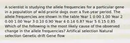 A scientist is studying the allele frequencies for a particular gene in a population of wild prairie dogs over a five-year period. The allele frequencies are shown in the table Year 1 0.00 1.00 Year 2 0.00 1.00 Year 3 0.10 0.90 Year 4 0.14 0.87 Year 5 0.15 0.85 Which of the following is the most likely cause of the observed change in the allele frequencies? Artifical selection Natural selection Genetic drift Gene flow