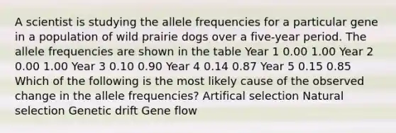 A scientist is studying the allele frequencies for a particular gene in a population of wild prairie dogs over a five-year period. The allele frequencies are shown in the table Year 1 0.00 1.00 Year 2 0.00 1.00 Year 3 0.10 0.90 Year 4 0.14 0.87 Year 5 0.15 0.85 Which of the following is the most likely cause of the observed change in the allele frequencies? Artifical selection Natural selection Genetic drift Gene flow