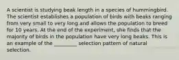 A scientist is studying beak length in a species of hummingbird. The scientist establishes a population of birds with beaks ranging from very small to very long and allows the population to breed for 10 years. At the end of the experiment, she finds that the majority of birds in the population have very long beaks. This is an example of the _________ selection pattern of natural selection.