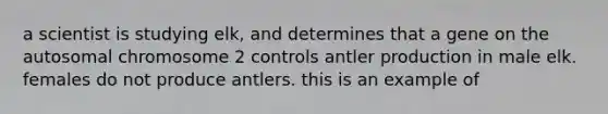 a scientist is studying elk, and determines that a gene on the autosomal chromosome 2 controls antler production in male elk. females do not produce antlers. this is an example of