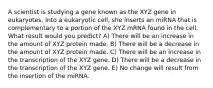 A scientist is studying a gene known as the XYZ gene in eukaryotes. Into a eukaryotic cell, she inserts an miRNA that is complementary to a portion of the XYZ mRNA found in the cell. What result would you predict? A) There will be an increase in the amount of XYZ protein made. B) There will be a decrease in the amount of XYZ protein made. C) There will be an increase in the transcription of the XYZ gene. D) There will be a decrease in the transcription of the XYZ gene. E) No change will result from the insertion of the miRNA.