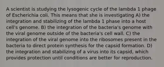 A scientist is studying the lysogenic cycle of the lambda 1 phage of Escherichia coli. This means that she is investigating A) the integration and stabilizing of the lambda 1 phase into a host cell's genome. B) the integration of the bacteria's genome with the viral genome outside of the bacteria's cell wall. C) the integration of the viral genome into the ribosomes present in the bacteria to direct protein synthesis for the capsid formation. D) the integration and stabilizing of a virus into its capsid, which provides protection until conditions are better for reproduction.