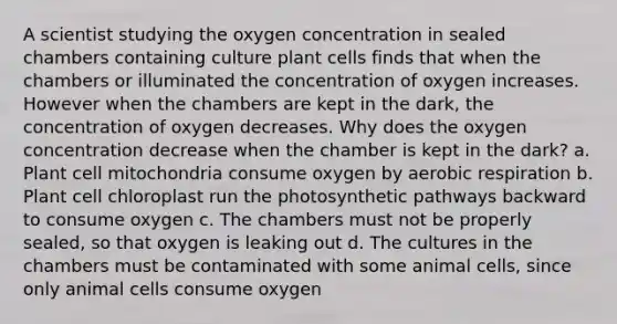 A scientist studying the oxygen concentration in sealed chambers containing culture plant cells finds that when the chambers or illuminated the concentration of oxygen increases. However when the chambers are kept in the dark, the concentration of oxygen decreases. Why does the oxygen concentration decrease when the chamber is kept in the dark? a. Plant cell mitochondria consume oxygen by <a href='https://www.questionai.com/knowledge/kyxGdbadrV-aerobic-respiration' class='anchor-knowledge'>aerobic respiration</a> b. Plant cell chloroplast run the photosynthetic pathways backward to consume oxygen c. The chambers must not be properly sealed, so that oxygen is leaking out d. The cultures in the chambers must be contaminated with some animal cells, since only animal cells consume oxygen