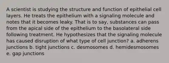 A scientist is studying the structure and function of epithelial cell layers. He treats the epithelium with a signaling molecule and notes that it becomes leaky. That is to say, substances can pass from the apical side of the epithelium to the basolateral side following treatment. He hypothesizes that the signaling molecule has caused disruption of what type of cell junction? a. adherens junctions b. tight junctions c. desmosomes d. hemidesmosomes e. gap junctions