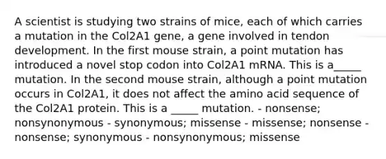 A scientist is studying two strains of mice, each of which carries a mutation in the Col2A1 gene, a gene involved in tendon development. In the first mouse strain, a point mutation has introduced a novel stop codon into Col2A1 mRNA. This is a_____ mutation. In the second mouse strain, although a point mutation occurs in Col2A1, it does not affect the amino acid sequence of the Col2A1 protein. This is a _____ mutation. - nonsense; nonsynonymous - synonymous; missense - missense; nonsense - nonsense; synonymous - nonsynonymous; missense