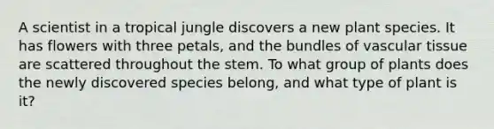 A scientist in a tropical jungle discovers a new plant species. It has flowers with three petals, and the bundles of vascular tissue are scattered throughout the stem. To what group of plants does the newly discovered species belong, and what type of plant is it?