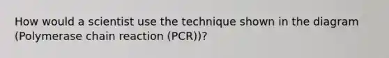 How would a scientist use the technique shown in the diagram (Polymerase chain reaction (PCR))?