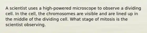 A scientist uses a high-powered microscope to observe a dividing cell. In the cell, the chromosomes are visible and are lined up in the middle of the dividing cell. What stage of mitosis is the scientist observing.