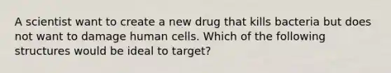 A scientist want to create a new drug that kills bacteria but does not want to damage human cells. Which of the following structures would be ideal to target?