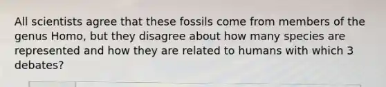 All scientists agree that these fossils come from members of the genus Homo, but they disagree about how many species are represented and how they are related to humans with which 3 debates?