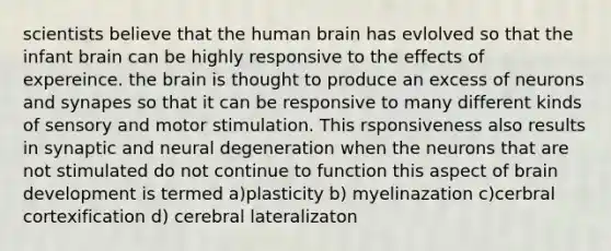 scientists believe that the human brain has evlolved so that the infant brain can be highly responsive to the effects of expereince. the brain is thought to produce an excess of neurons and synapes so that it can be responsive to many different kinds of sensory and motor stimulation. This rsponsiveness also results in synaptic and neural degeneration when the neurons that are not stimulated do not continue to function this aspect of brain development is termed a)plasticity b) myelinazation c)cerbral cortexification d) cerebral lateralizaton