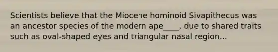 Scientists believe that the Miocene hominoid Sivapithecus was an ancestor species of the modern ape____, due to shared traits such as oval-shaped eyes and triangular nasal region...